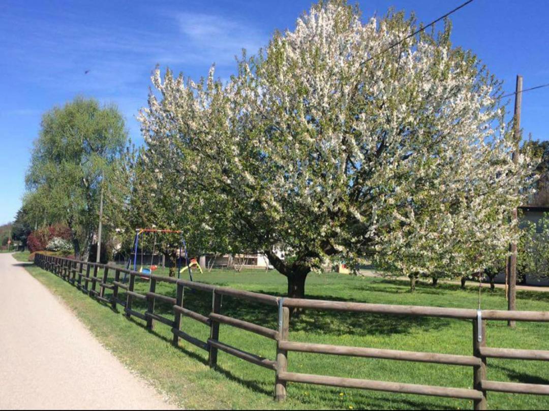 סומה לומברדו Azienda Agrituristica Scotti מראה חיצוני תמונה